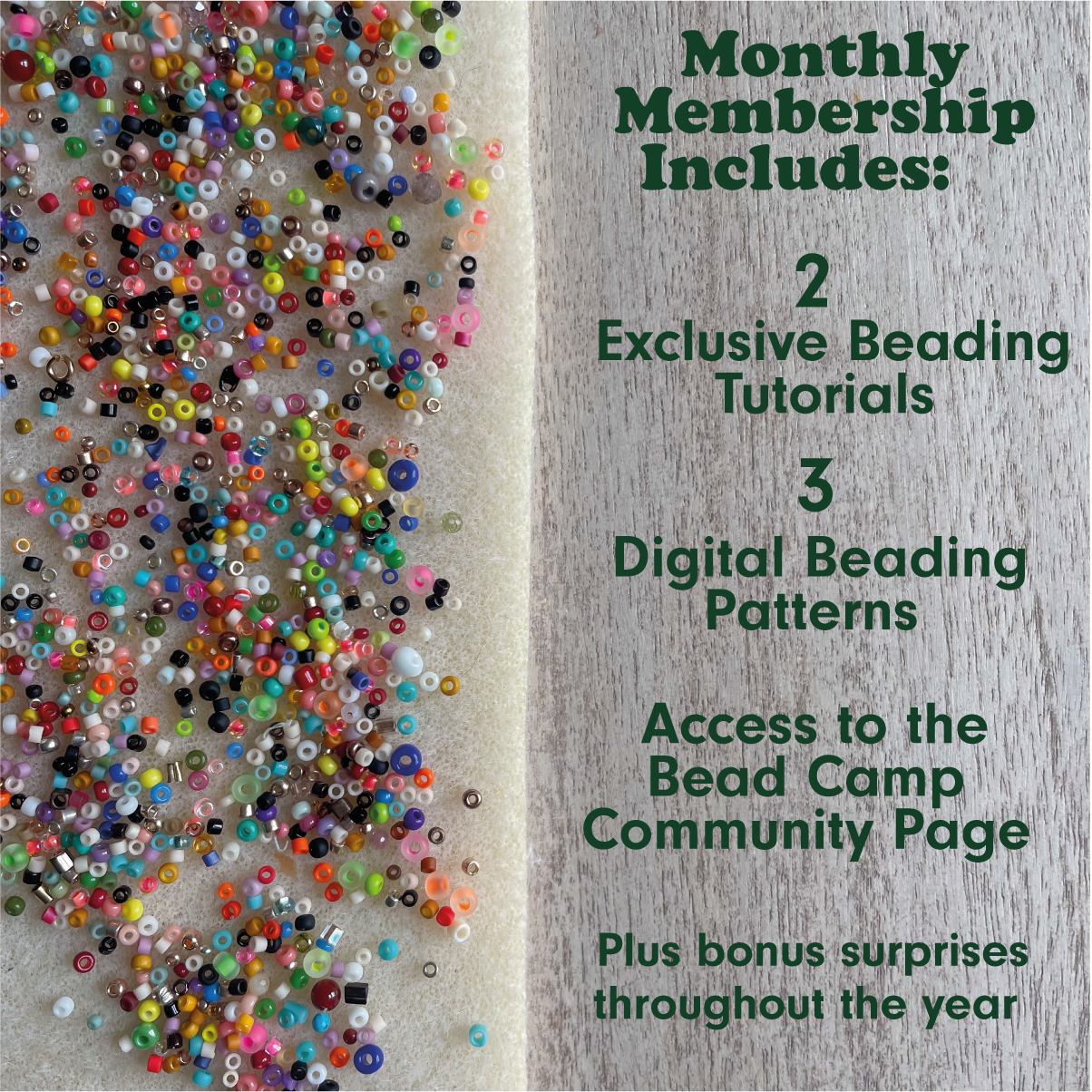 Bead Camp Membership